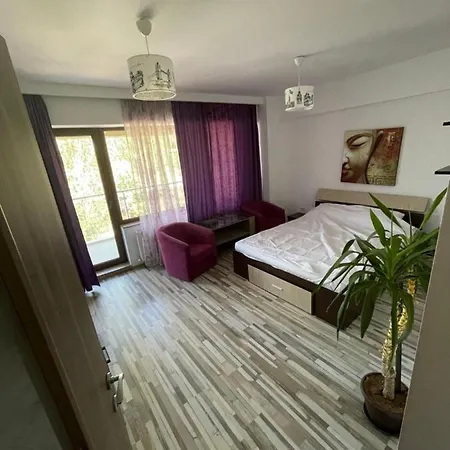 Sunrisemamaia 马马亚